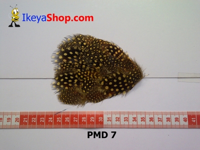 bulu PAD motif PMD 7   feather  large2